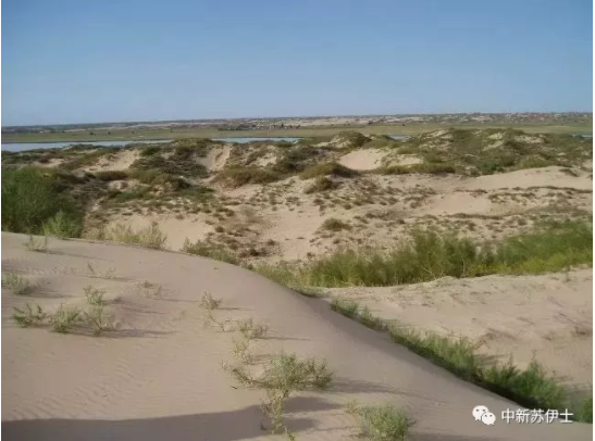 1598588581131777.png image.png